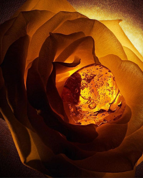 Ambre profond